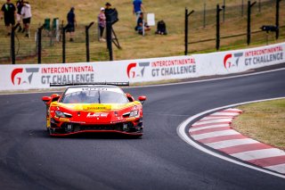 12h Bathurst 2025 -  Meguiar’s Bathurst 12 Hour - Intercontinental GT Challenge Round 1 - Foto: Gruppe C Photography; #36 Ferrari 296 GT3, Arise Racing GT: Alessio Rovera, Jaxon Evans, Elliot Schutte, Brad Schumacher
 | Gruppe C Photography