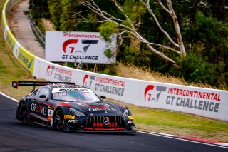 12h Bathurst 2025 -  Meguiar’s Bathurst 12 Hour - Intercontinental GT Challenge Round 1 - Foto: Gruppe C Photography; #04 Mercedes-AMG GT3, Grove Racing: Stephen Grove, Brenton Grove, Fabian Schiller
 | Gruppe C Photography