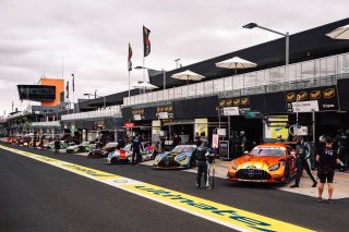 12h Bathurst 2025 -  Meguiar&rsquo;s Bathurst 12 Hour - Intercontinental GT Challenge Round 1 - Foto: Gruppe C Photography; #75 Mercedes-AMG GT3, SunEnergy1 Racing: Kenny Habul, Jules Gounon, Luca Stolz
 | Gruppe C Photography