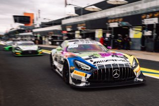 12h Bathurst 2025 -  Meguiar&rsquo;s Bathurst 12 Hour - Intercontinental GT Challenge Round 1 - Foto: Gruppe C Photography; #888 Mercedes-AMG GT3, Mercedes-AMG Team GMR: Maro Engel, Maxime Martin, Mikael Grenier
 | Gruppe C Photography