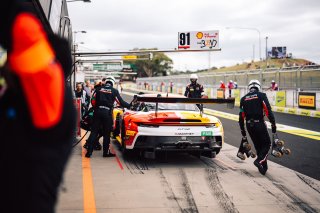 12h Bathurst 2025 -  Meguiar’s Bathurst 12 Hour - Intercontinental GT Challenge Round 1 - Foto: Gruppe C Photography; #91 Porsche 911 GT3 R (992), The Bend: Yasser Shahin, Sam Shahin, Laurin Heinrich, Morris Schuring
 | Gruppe C Photography