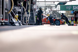 12h Bathurst 2025 -  Meguiar’s Bathurst 12 Hour - Intercontinental GT Challenge Round 1 - Foto: Gruppe C Photography; #75 Mercedes-AMG GT3, SunEnergy1 Racing: Kenny Habul, Jules Gounon, Luca Stolz
 | Gruppe C Photography