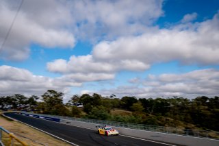 12h Bathurst 2025 -  Meguiar’s Bathurst 12 Hour - Intercontinental GT Challenge Round 1 - Foto: Gruppe C Photography; #91 Porsche 911 GT3 R (992), The Bend: Yasser Shahin, Sam Shahin, Laurin Heinrich, Morris Schuring
 | Gruppe C Photography