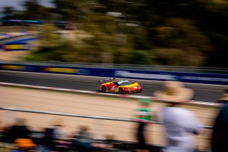 12h Bathurst 2025 -  Meguiar’s Bathurst 12 Hour - Intercontinental GT Challenge Round 1 - Foto: Gruppe C Photography; #36 Ferrari 296 GT3, Arise Racing GT: Alessio Rovera, Jaxon Evans, Elliot Schutte, Brad Schumacher
 | Gruppe C Photography