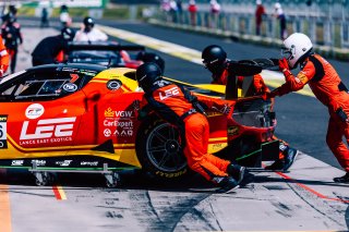 12h Bathurst 2025 -  Meguiar’s Bathurst 12 Hour - Intercontinental GT Challenge Round 1 - Foto: Gruppe C Photography; #26 Ferrari 296 GT3, Arise Racing GT: Chaz Mostert, Will Brown, Daniel Serra
 | Gruppe C Photography