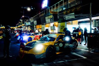 12h Bathurst 2025 -  Meguiar’s Bathurst 12 Hour - Intercontinental GT Challenge Round 1 - Foto: Gruppe C Photography; #911 Porsche 911 GT3 R (992), Absolute Racing: Matt Campbell, Ayhancan Güven, Alessio Picariello
 | Gruppe C Photography