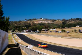 12h Bathurst 2025 -  Meguiar’s Bathurst 12 Hour - Intercontinental GT Challenge Round 1 - Foto: Gruppe C Photography; #36 Ferrari 296 GT3, Arise Racing GT: Alessio Rovera, Jaxon Evans, Elliot Schutte, Brad Schumacher
 | Gruppe C Photography