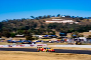 12h Bathurst 2025 -  Meguiar’s Bathurst 12 Hour - Intercontinental GT Challenge Round 1 - Foto: Gruppe C Photography; #36 Ferrari 296 GT3, Arise Racing GT: Alessio Rovera, Jaxon Evans, Elliot Schutte, Brad Schumacher
 | Gruppe C Photography