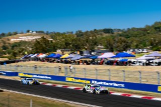 12h Bathurst 2025 -  Meguiar’s Bathurst 12 Hour - Intercontinental GT Challenge Round 1 - Foto: Gruppe C Photography; #888 Mercedes-AMG GT3, Mercedes-AMG Team GMR: Maro Engel, Maxime Martin, Mikael Grenier
 | Gruppe C Photography