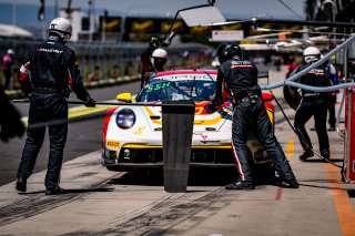 12h Bathurst 2025 -  Meguiar’s Bathurst 12 Hour - Intercontinental GT Challenge Round 1 - Foto: Gruppe C Photography; #91 Porsche 911 GT3 R (992), The Bend: Yasser Shahin, Sam Shahin, Laurin Heinrich, Morris Schuring
 | Gruppe C Photography