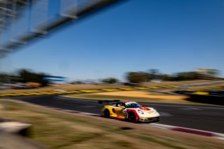 12h Bathurst 2025 -  Meguiar’s Bathurst 12 Hour - Intercontinental GT Challenge Round 1 - Foto: Gruppe C Photography; #91 Porsche 911 GT3 R (992), The Bend: Yasser Shahin, Sam Shahin, Laurin Heinrich, Morris Schuring
 | Gruppe C Photography