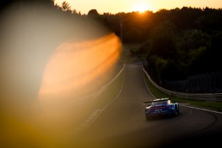 53. ADAC RAVENOL 24h Nürburgring 2025 - Foto: Gruppe C Photography ; #33 Porsche 911 GT3 R (992), Falken Motorsports: Julien Andlauer, Nico Menzel, Sven Müller, Alessio Picariello
 | Gruppe C Photography