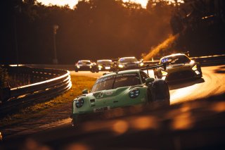 53. ADAC RAVENOL 24h Nürburgring 2025 - Foto: Gruppe C Photography; #33 Porsche 911 GT3 R (992), Falken Motorsports: Julien Andlauer, Nico Menzel, Sven Müller, Alessio Picariello
 | Gruppe C Photography