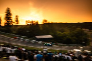53. ADAC RAVENOL 24h Nürburgring 2025 - Foto: Gruppe C Photography; #44 Porsche 911 GT3 R (992), Falken Motorsports: Dorian Boccolacci, Tim Heinemann, Dennis Marschall, Morris Schuring
 | Gruppe C Photography