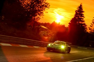 53. ADAC RAVENOL 24h Nürburgring 2025 - Foto: Gruppe C Photography; #33 Porsche 911 GT3 R (992), Falken Motorsports: Julien Andlauer, Nico Menzel, Sven Müller, Alessio Picariello
 | Gruppe C Photography