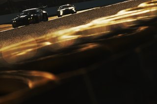 #31 - Team WRT - Dries VANTHOOR - Sheldon VAN DER LINDE - Marco WITTMANN - BMW M4 GT3 EVO
 | SRO / JEP
