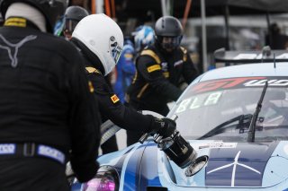 #21 Porsche 911 GT3 R (992) of Dustin Blattner / Alfred Renauer / Dennis Marschall, Blattner Company by Herberth Motorsport, Indy 8H, IGTC, Pro-Am, SRO America, Indianapolis Motor Speedway, Indianapolis, IN, Oct 16&ndash;19, 2025
 | Fabian Lagunas | www.lagunasphotography.com | For SRO Motorsports Group 2025