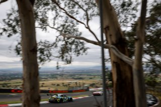 12h Bathurst 2026 -  Meguiar&rsquo;s Bathurst 12 Hour - Intercontinental GT Challenge Round 1 - Foto: Gruppe C Photography; #79 Porsche 911 GT3 R (992), TSUNAMI RT: Johannes Zelger, Fabio Babini, Daniel Gaunt, Alex Fontana
 | Gruppe C Photography
