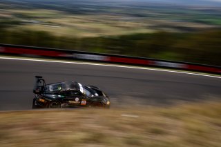 12h Bathurst 2026 -  Meguiar&rsquo;s Bathurst 12 Hour - Intercontinental GT Challenge Round 1 - Foto: Gruppe C Photography; #21 Porsche 911 GT3 R (992), Herberth Motorsport: Ralf Bohn, Alfred Renauer, Robert Renauer
 | Gruppe C Photography