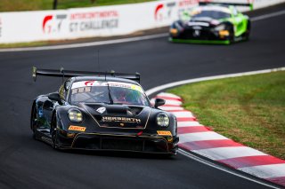 12h Bathurst 2026 -  Meguiar&rsquo;s Bathurst 12 Hour - Intercontinental GT Challenge Round 1 - Foto: Gruppe C Photography; #21 Porsche 911 GT3 R (992), Herberth Motorsport: Ralf Bohn, Alfred Renauer, Robert Renauer
 | SRO Motorsports Group