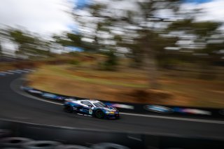 12h Bathurst 2026 -  Meguiar&rsquo;s Bathurst 12 Hour - Intercontinental GT Challenge Round 1 - Foto: Gruppe C Photography; #99 Chevrolet Corvette Z06 GT3.R, Johor Motorsports Racing JMR: Prince Jefri Ibrahim, Prince Abu Bakar Ibrahim, Ben Green, Jordan Love
 | Gruppe C Photography