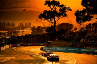 12h Bathurst 2026 -  Meguiar&rsquo;s Bathurst 12 Hour - Intercontinental GT Challenge Round 1 - Foto: Gruppe C Photography; #99 Chevrolet Corvette Z06 GT3.R, Johor Motorsports Racing JMR: Prince Jefri Ibrahim, Prince Abu Bakar Ibrahim, Ben Green, Jordan Love
 | Gruppe C Photography