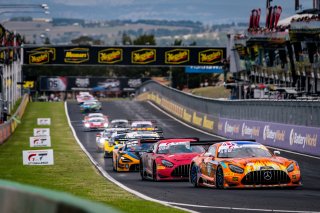 12h Bathurst 2026 -  Meguiar&rsquo;s Bathurst 12 Hour - Intercontinental GT Challenge Round 1 - Foto: Gruppe C Photography; #75 Mercedes-AMG GT3 EVO, 75 Express: Kenny Habul, Luca Stolz, Jules Gounon
 | Gruppe C Photography