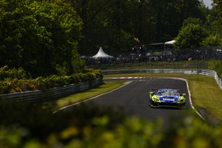 54. ADAC RAVENOL 24h N&uuml;rburgring 2026 #45 Ferrari 296 GT3 Evo26, REALIZE KONDO RACING with Rinaldi: David Perel, Dennis Marschall, Thierry Vermeulen, Thomas Neubauer - picture by Gruppe C Photography
 | Gruppe C Photography