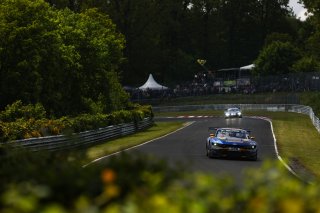 54. ADAC RAVENOL 24h N&uuml;rburgring 2026 #64 Ford Mustang GT3, HRT Ford Racing: Dennis Olsen, Christopher Mies, Frederic Vervisch, Arjun Maini - picture by Gruppe C Photography
 | Gruppe C Photography