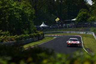 54. ADAC RAVENOL 24h N&uuml;rburgring 2026 #99 BMW M4 GT3 EVO, ROWE RACING: Dan Harper, Max Hesse, Sheldon van der Linde, Dries Vanthoor - picture by Gruppe C Photography
 | Gruppe C Photography